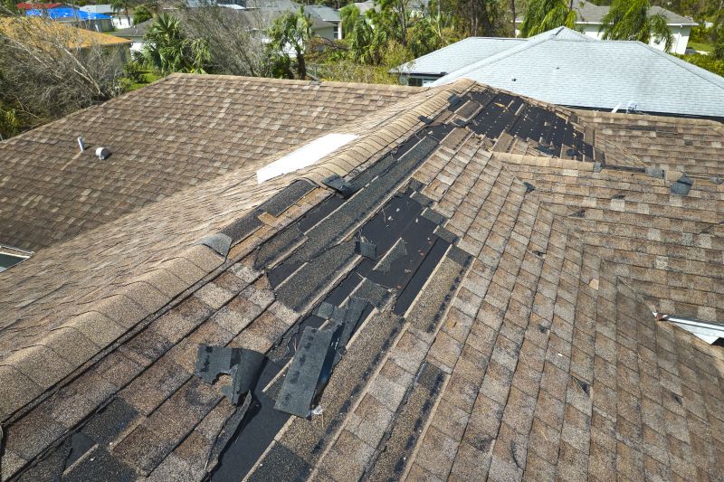 Repairing Damaged Shingles